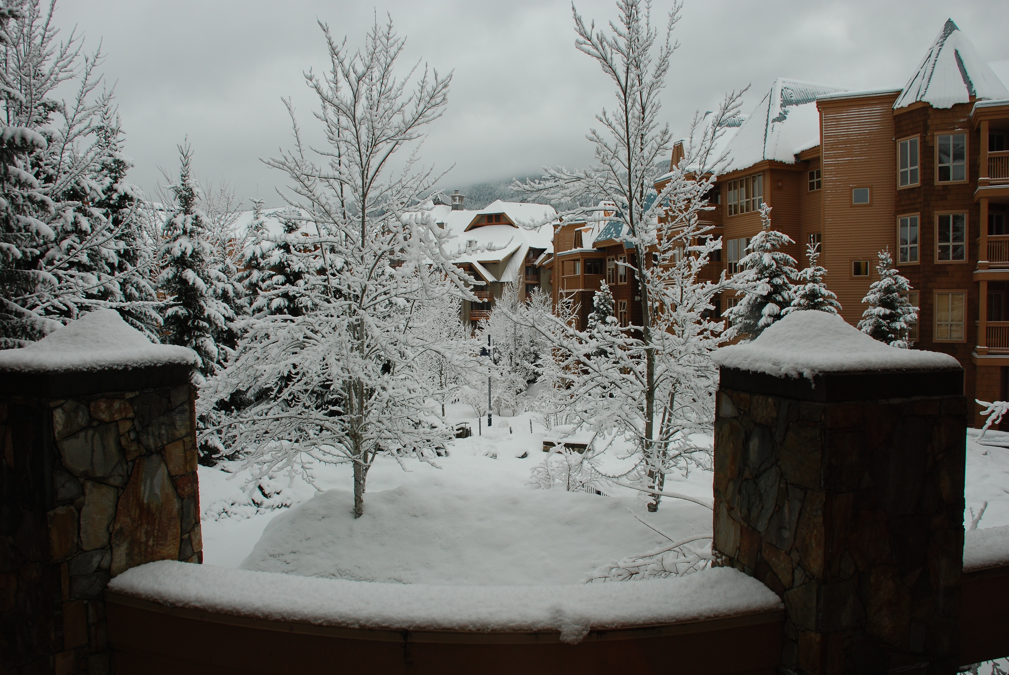 2009-03-WHISTLER WITH MUSSATTOS 17.jpg